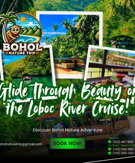 Loboc River
