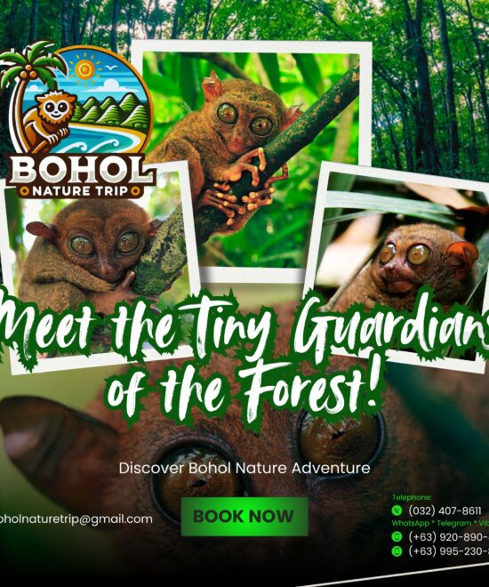 Tarsier Sanctuary