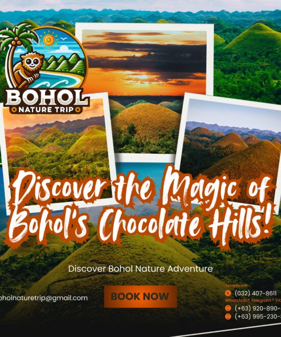 Chocolate Hills