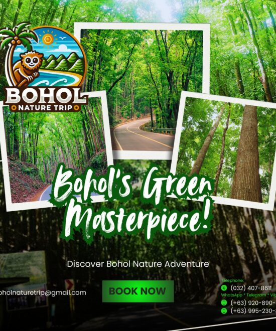 Man-made Forest