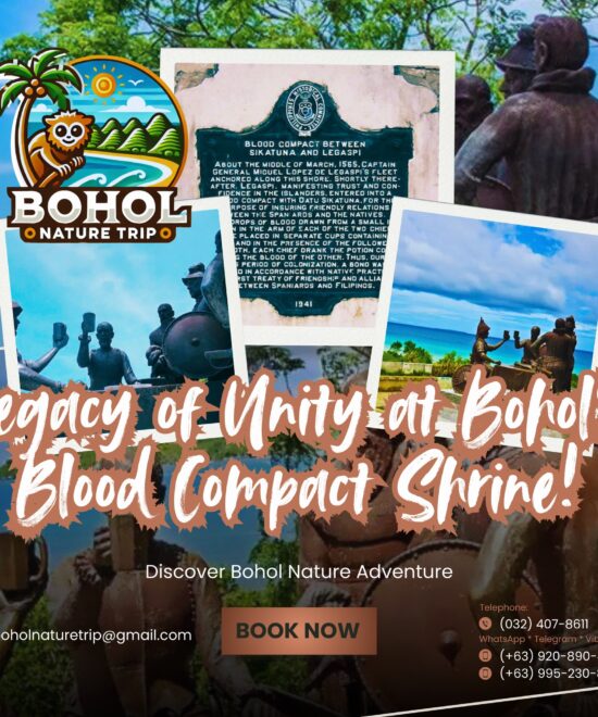 Blood Compact