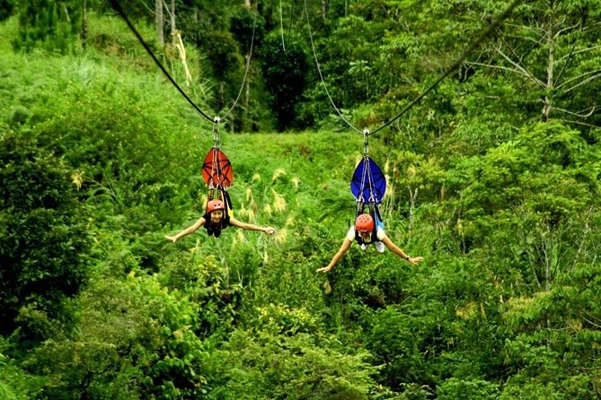 Glide on a zipline
